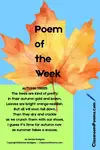 AutumnLeavesPOWPIN