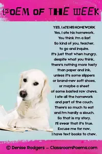 DogEatsHomeworkPOWPIN