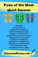 FlipFlopsPOWPIN