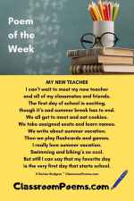 MyNewTeacherPOWPIN