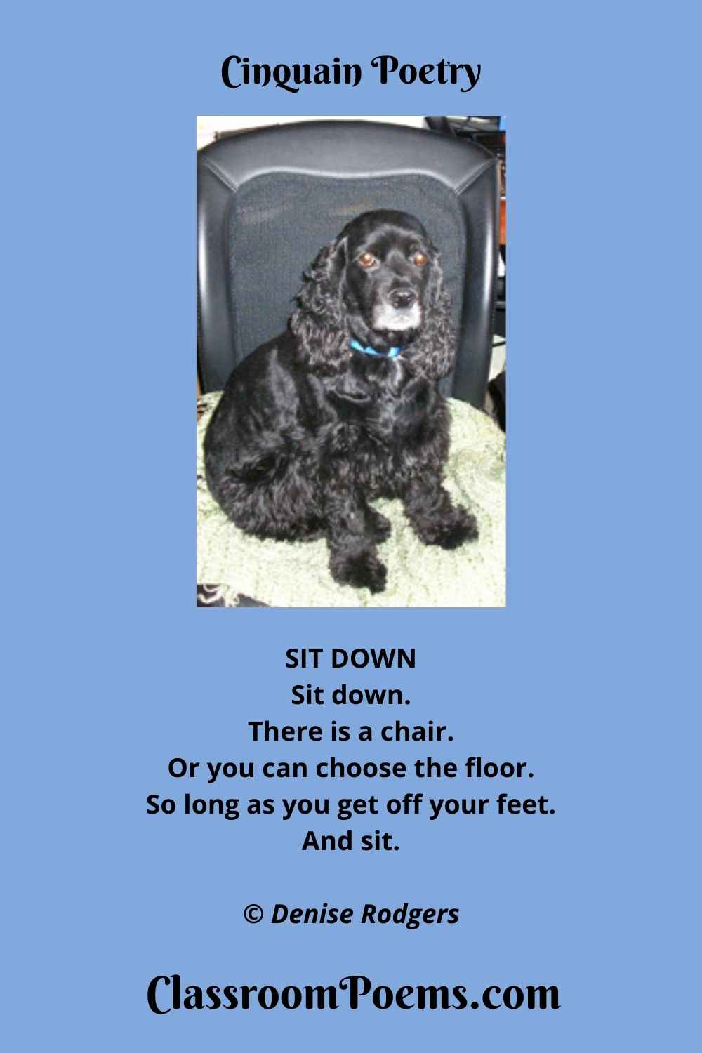 COCKER SPANIEL Cinquain Poem by the Poetry Lady Denise Rodgers on ClassroomPoems.com.