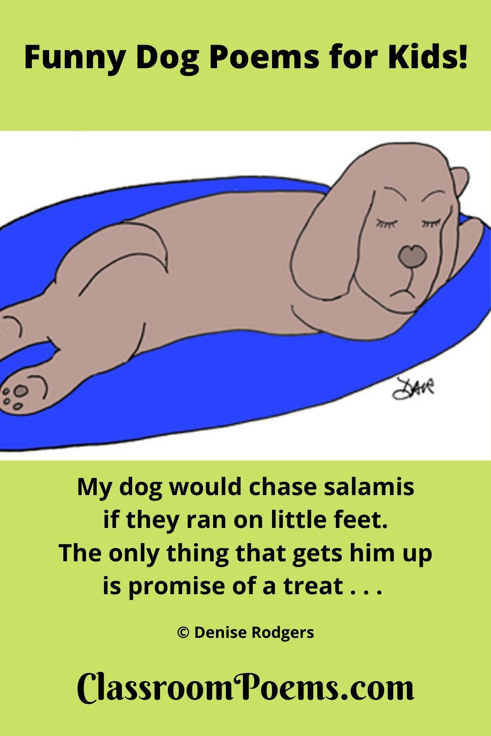 sleeping dog, napping dog, dog on rug, funny dog poems