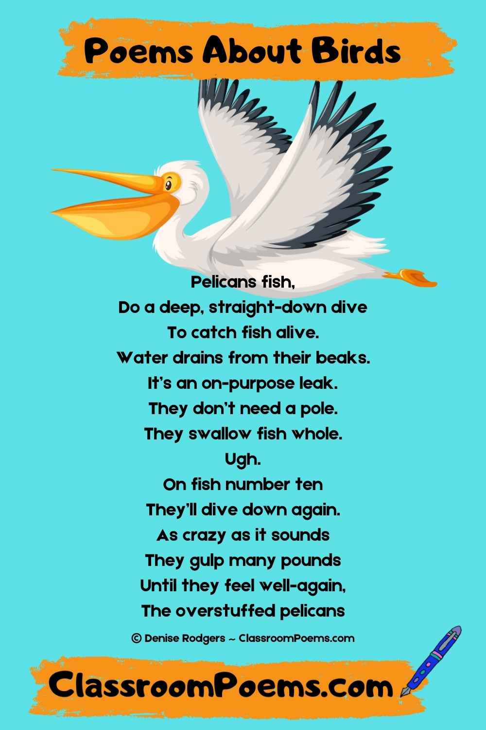 PELICANS FISH, a Denise Rodgers poem about birds on ClassroomPoems.com.