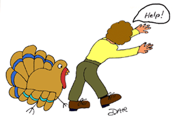 turkey chasing boy
