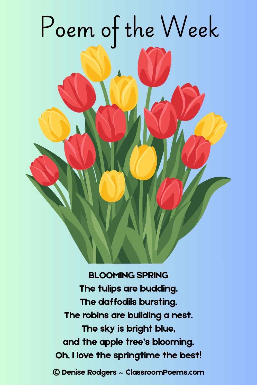 BLOOMING SPRING, a poem of the week for kids by Denise Rodgers on ClassroomPoems.com.
