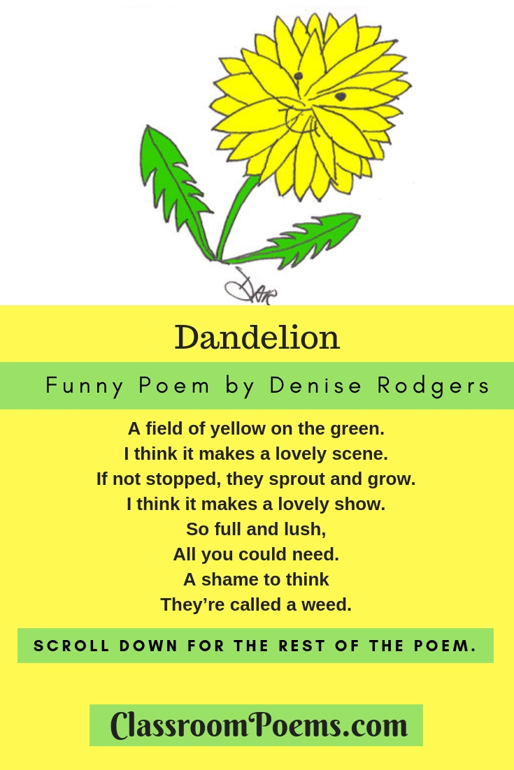 Dandelion illustration. Dandelion by Denise Rodgers. A poem for kids on ClassroomPoems.com.