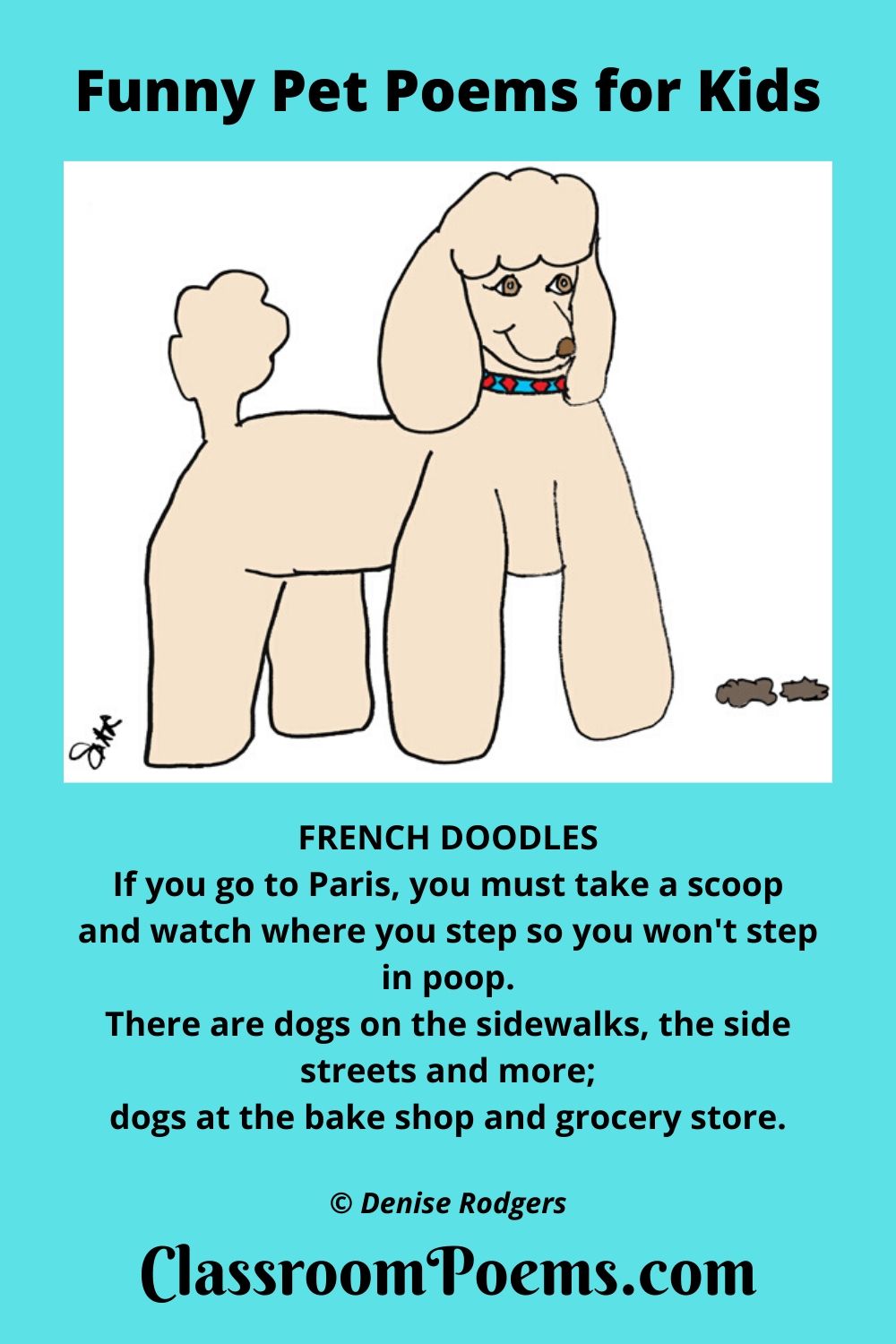 French poodle, an illustration for French Doodles, a funny dog poem by Denise Rodgers on ClassroomPoems.com.