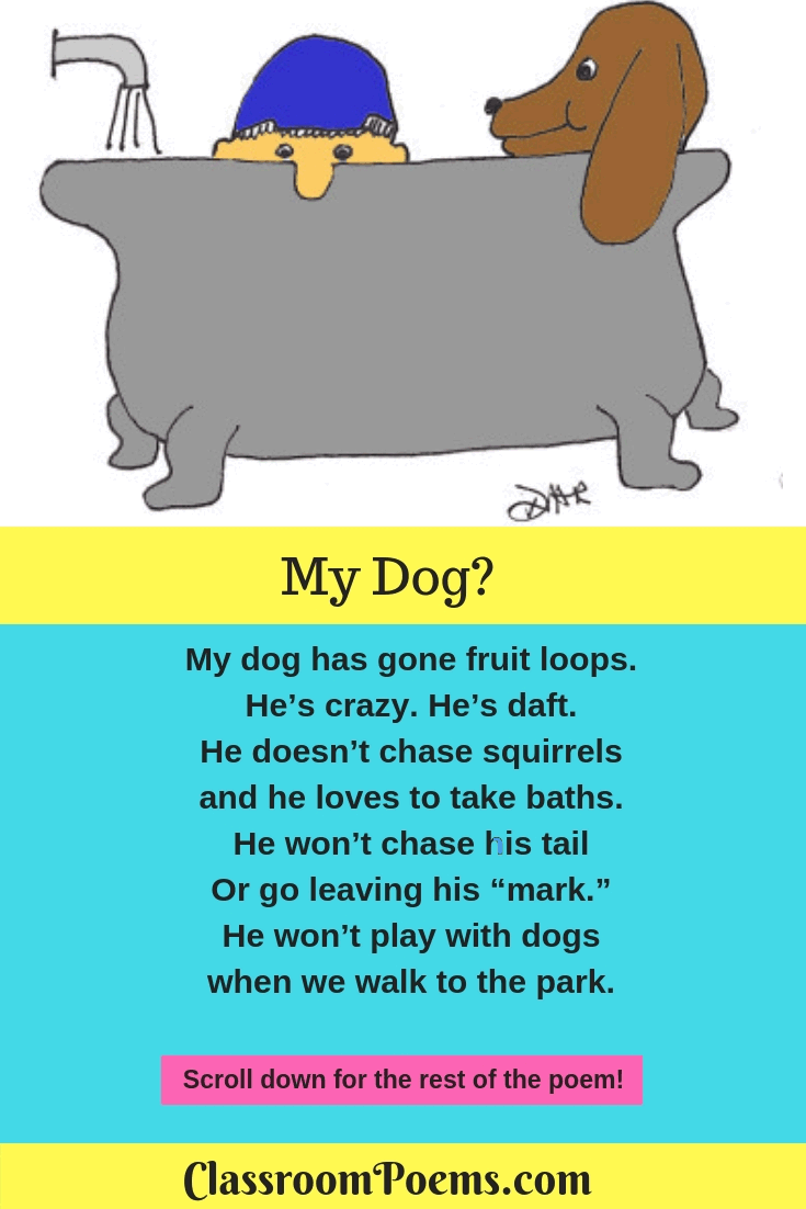 My Dog? A funny poem for kid on ClassroomPoems.com.