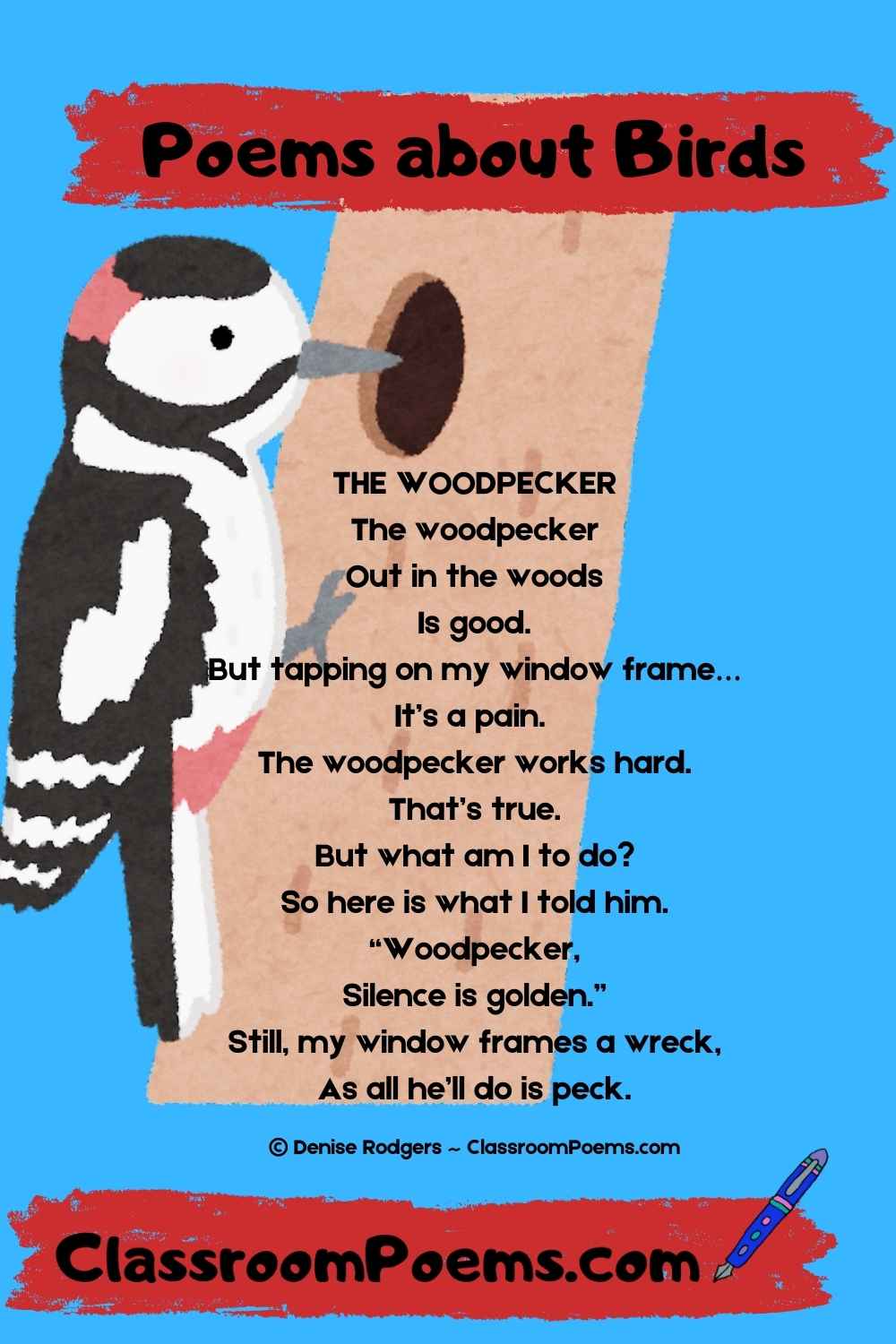 THE WOODPECKER, a Denise Rodgers poem about birds on ClassroomPoems.com.
